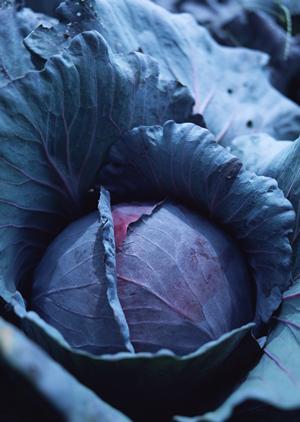 親身になって対応銀座のクラブ求人